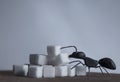 Sugar cubes get from ant savings