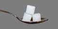 Sugar cubes on a spoon against a grey background.