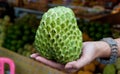 Sugar or custard apple in hand Royalty Free Stock Photo