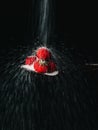 Sugar falls on strawberries on black background, selective focus.Sugar being poured on a strawberry with a dark background