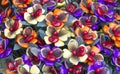 Sugar flowers Royalty Free Stock Photo