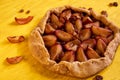 Sugar free pie with plums and raisins on yellow wooden background close up decorated with brown raisins and dried pieces of apple Royalty Free Stock Photo