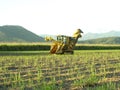 Sugar Industry Sugarcane Harvest Scene in Ingham Queensland Australia