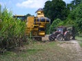 Sugar Industry Sugarcane Harvest Scene in Ingham Queensland Australia