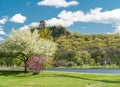 Sugar Loaf Bluff Royalty Free Stock Photo