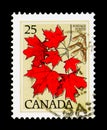 Sugar Maple, Acer saccharum, Definitives 1977-79 (Leaves) serie, circa 1977 Royalty Free Stock Photo