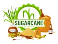 Sugar, natural element design, vector illustration. Sugarcane for sweet food, product banner and organic ingredient cane