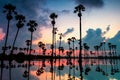 sugar palm trees with skyline reflection at dawn Royalty Free Stock Photo