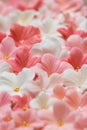 Sugar paste flowers