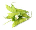 Sugar pea pods Royalty Free Stock Photo