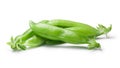 Sugar pea pods Pisum Sativum, paths