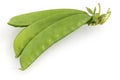 Sugar pea pods Royalty Free Stock Photo