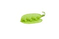 Sugar Pea was placed on a white background