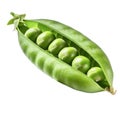 Top view green pea isolated on white, Pod of pea and peas isolated Royalty Free Stock Photo