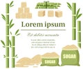 Sugar plant agricultural crops. Sugar cane with leaf. Sugar in sackcloth bags with label. Flat illustration on white