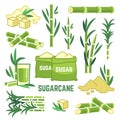 Sugar plant agricultural crops, cane leaf, sugarcane juice vector icons Royalty Free Stock Photo