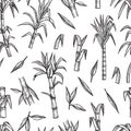 Sugar plant seamless pattern. Hand drawn sugarcane vector background. Agriculture production sketch texture Royalty Free Stock Photo