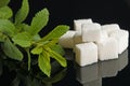 Stevia rebaudiana sweetener