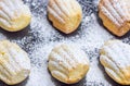 Sugar powdered madeleines on baking tray