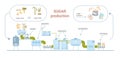 Sugar Production Flat Infographics