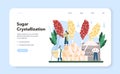 Sugar production industry web banner or landing page. Saccharose