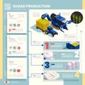 Sugar Production Infographics