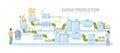 Sugar Production Line Composition