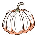 Sugar Pumpkin Image. Autumn Food Illustration. Ripe squash sketch. Element for autumn decorative design, halloween