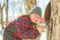 sugar shack, child having fun at maple shack forest Royalty Free Stock Photo