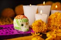 Day of the Dead Traditional Sugar Skull Royalty Free Stock Photo