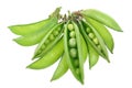 Sugar Snap Peas Royalty Free Stock Photo