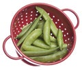 Sugar Snap Peas in Red Colander Royalty Free Stock Photo