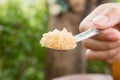 Sugar in a stainless steel spoon,Soft focus