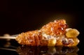 Sugar. Various Brown Sugar on stick, Cane Sugar close-up on black background. Closeup organic sugar on dark backdrop