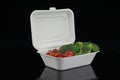 Biodegradable Sugarcane Bagasse Food Container