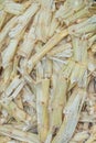 Sugarcane bagasse. Royalty Free Stock Photo