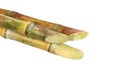 Sugar cane, Cane, Sugarcane piece fresh, Sugar cane on white background, Sugarcane fresh