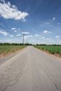 Sugarcane farm with blue sky Royalty Free Stock Photo