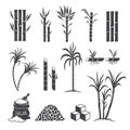 Sugarcane farm symbols. Sweets field plant harvest milling vector colored illustrations isolated on white background Royalty Free Stock Photo