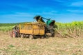 Sugarcane harvest on the field with a combine harvester - Serie Cuba Reportage