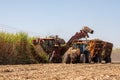 Sugarcane harvest - harvester activating in sugarcane plantation - sugar and ethanol industry