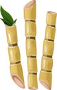 Sugarcane