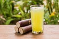 Sugarcane juice with piece of sugarcane on wooden background Royalty Free Stock Photo