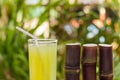 Sugarcane juice with piece of sugarcane on wooden background Royalty Free Stock Photo