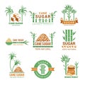 Sugarcane manufacturing. Sweets plants production farm industry leaf vector badges or labels with place for your text