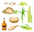 Sugarcane Plant and Manufactured from it Products Vector Set