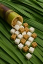 Sugarcane and Sugar Cubes: Raw and Refined Sweetness AI-GENERATED Royalty Free Stock Photo