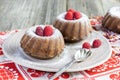 Sugared raspberry chocolate mini cakes