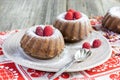 Sugared raspberry chocolate mini cakes Royalty Free Stock Photo