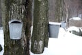 Sugaring In Vermont Royalty Free Stock Photo